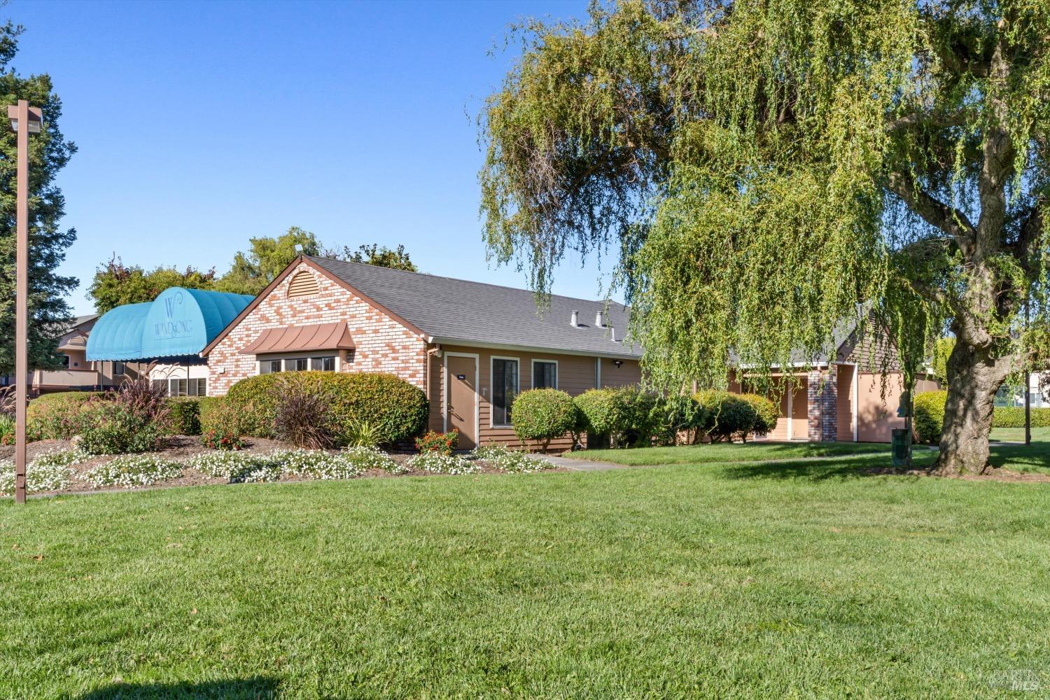 8201 Camino Colegio #158