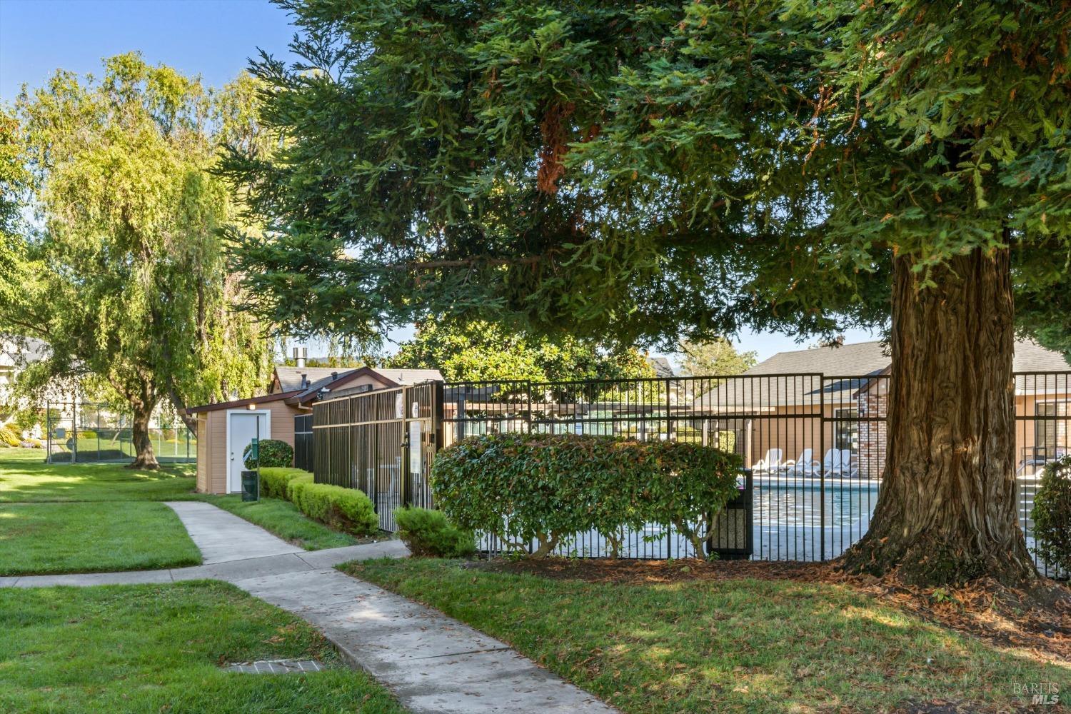 8201 Camino Colegio #158