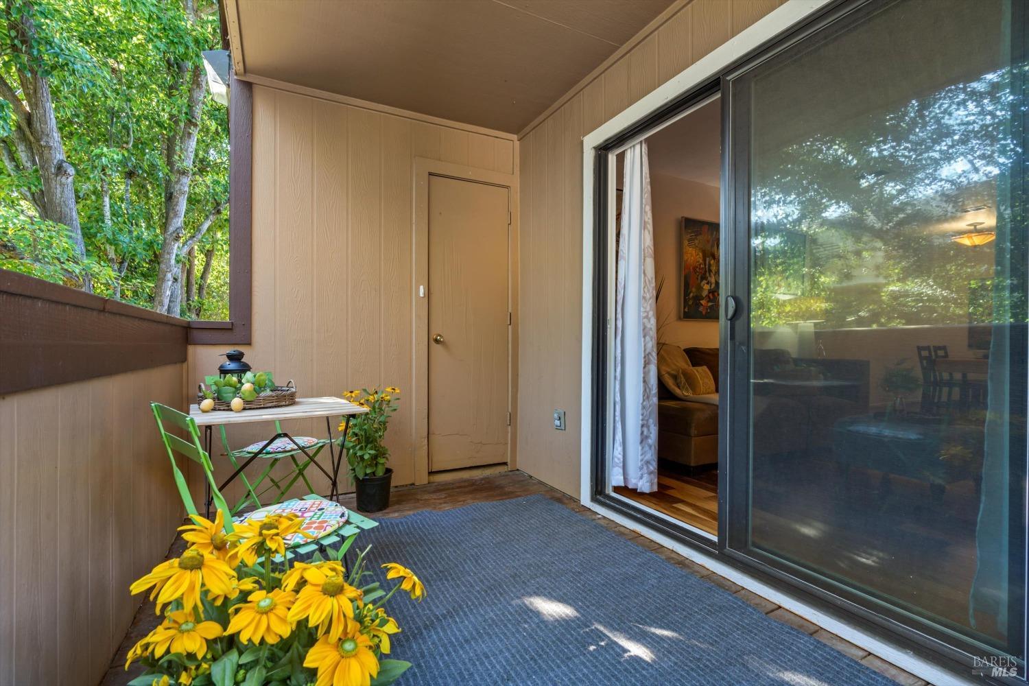 8201 Camino Colegio #158