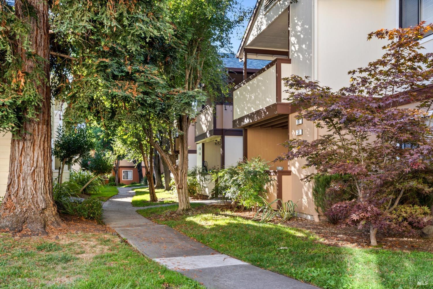 8201 Camino Colegio #158