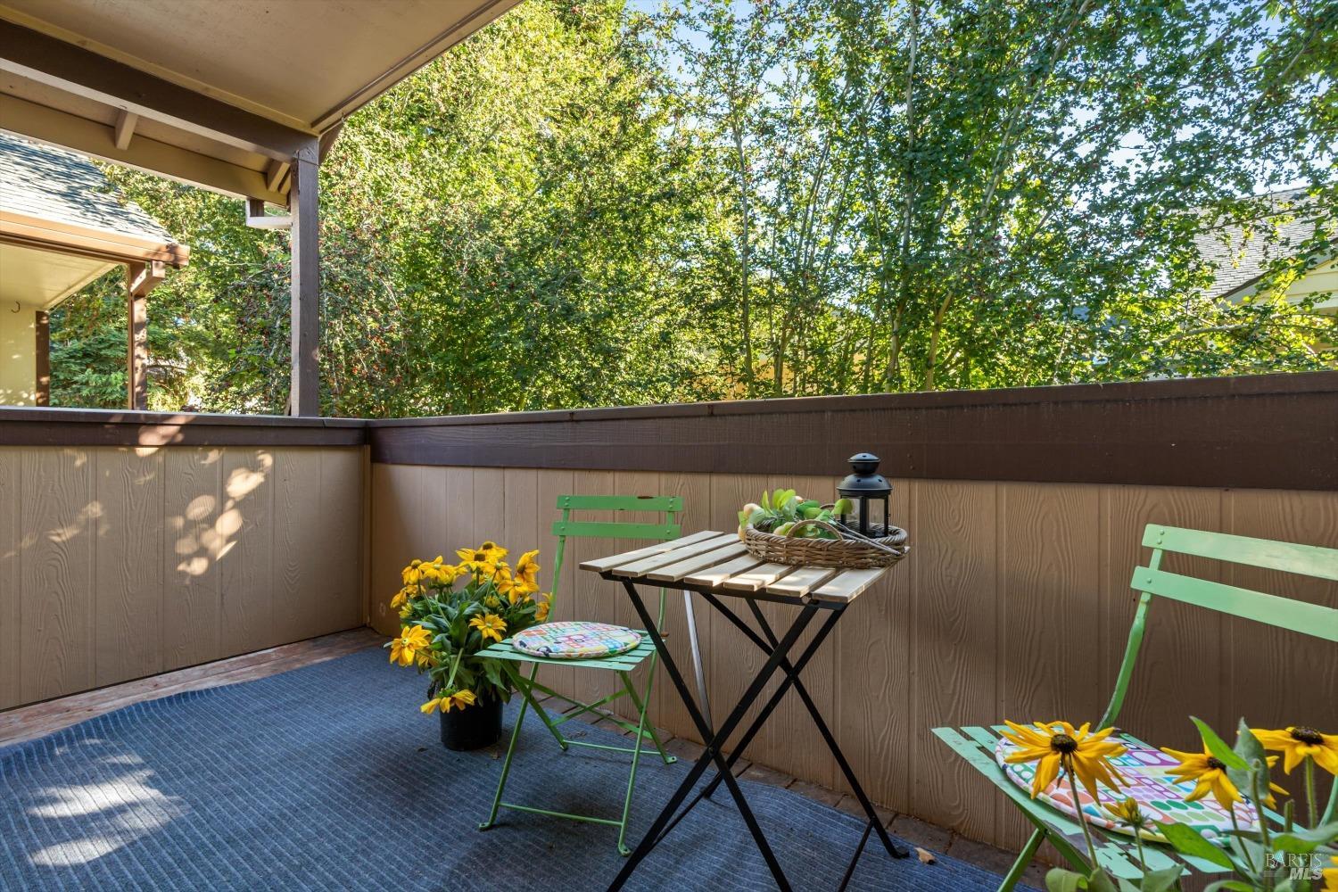 8201 Camino Colegio #158