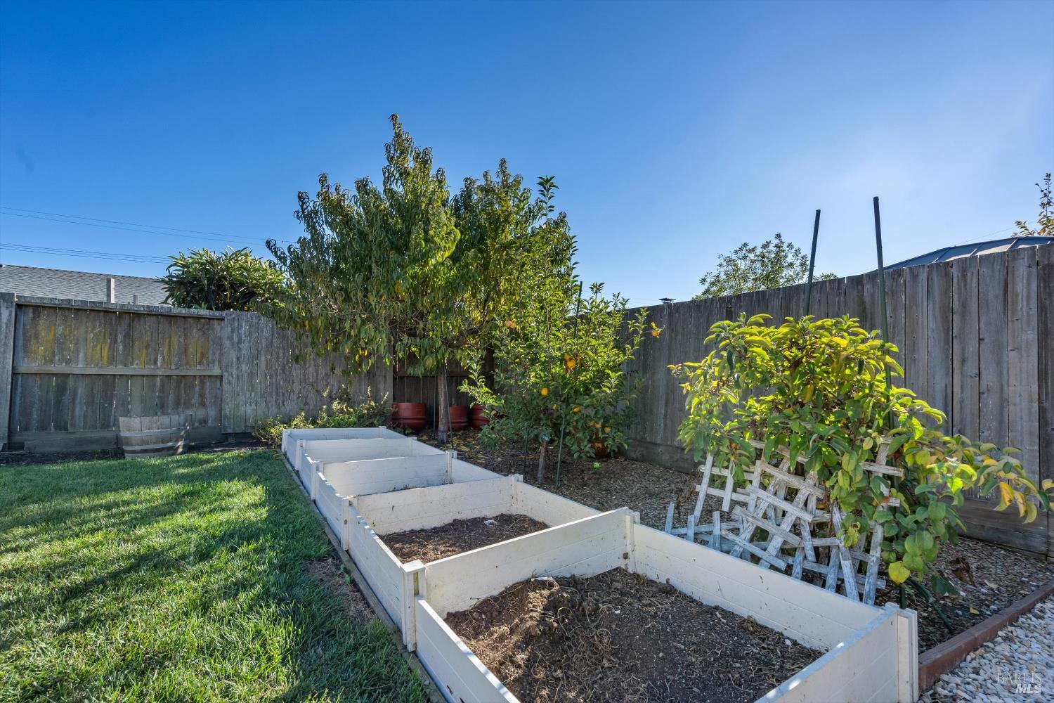 7387 Barbi Lane