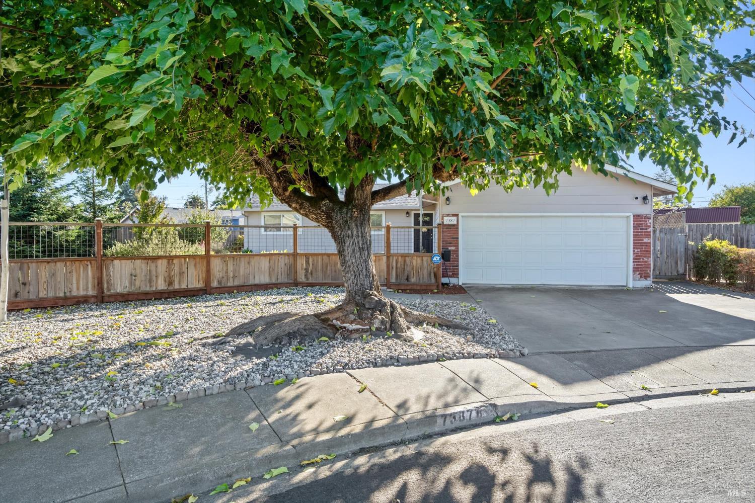 7387 Barbi Lane