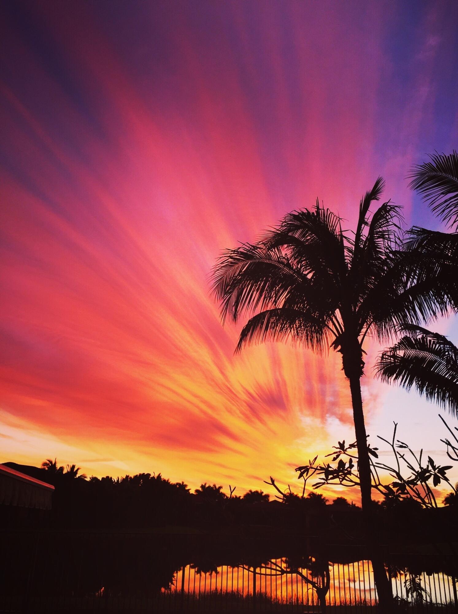 10812 Castle Oak Drive