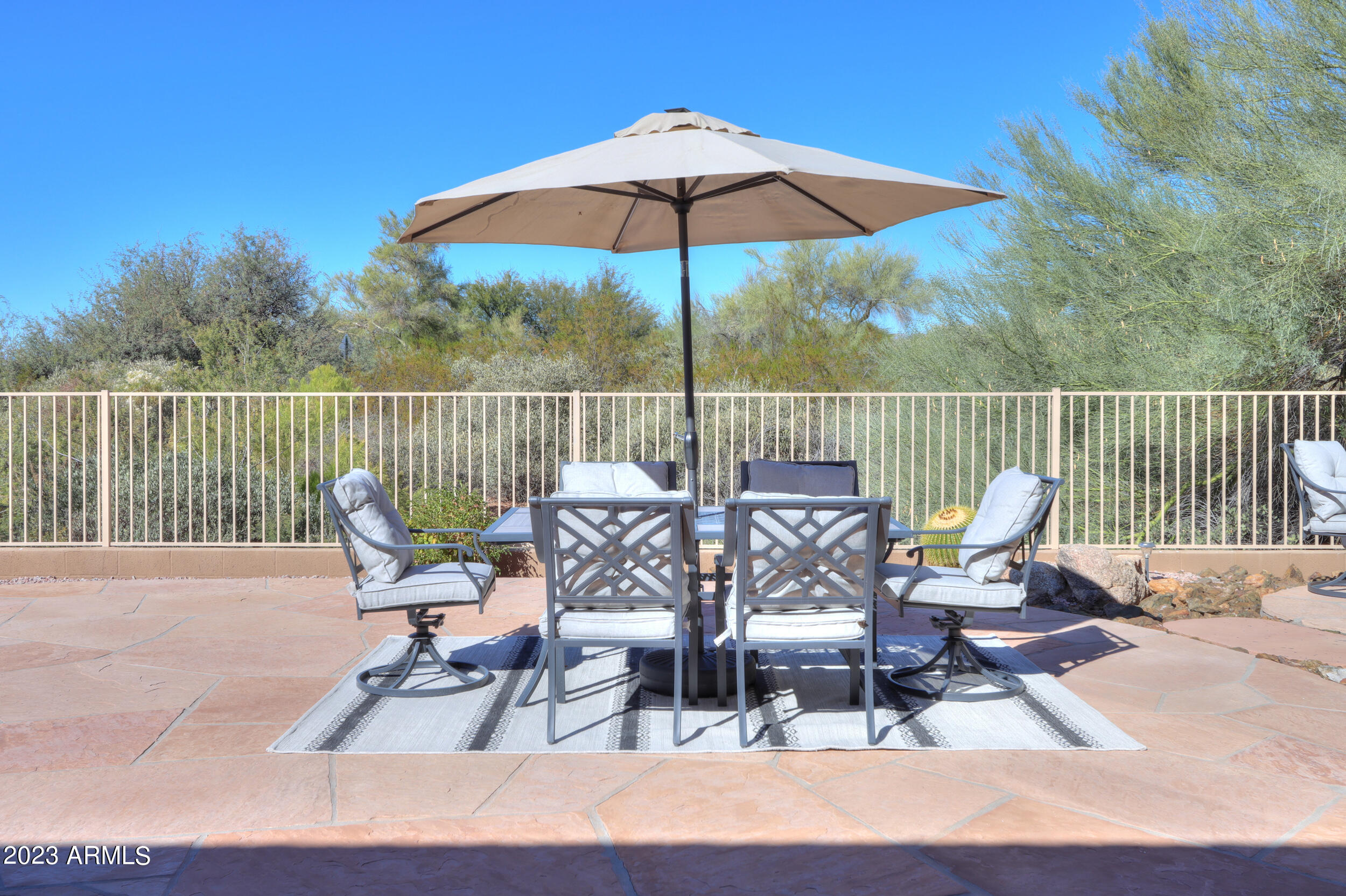 11396 E DIAMOND CHOLLA Drive