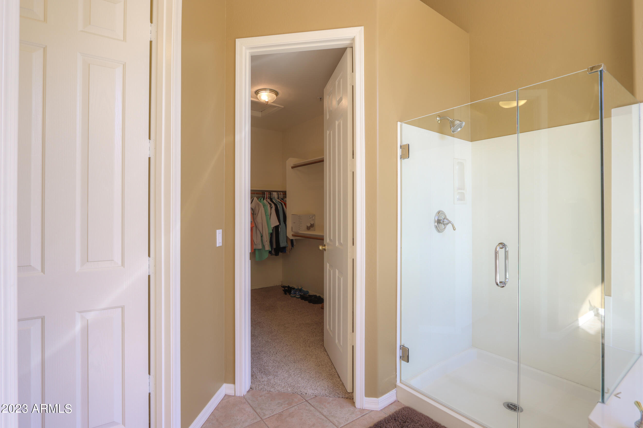 11396 E DIAMOND CHOLLA Drive