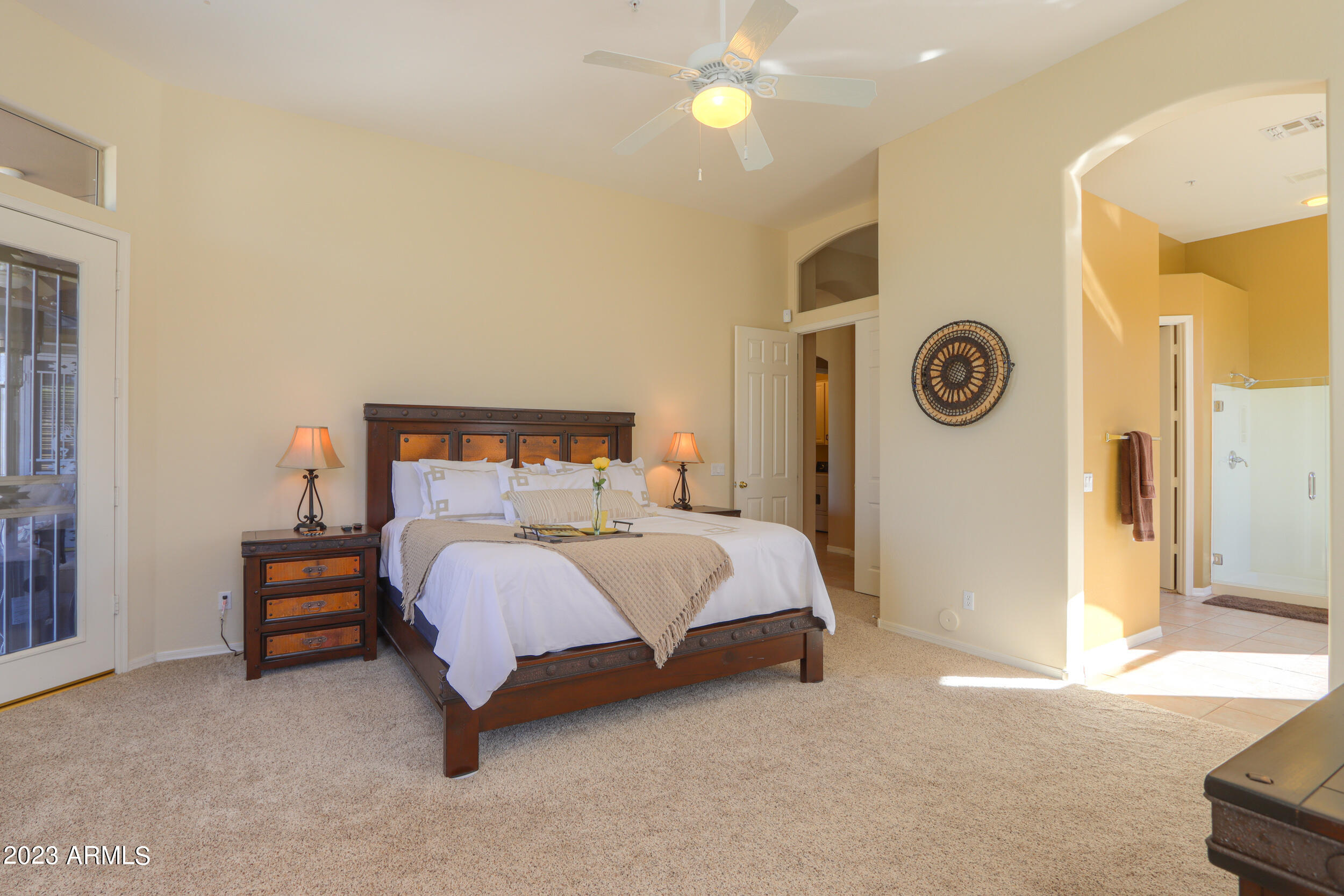 11396 E DIAMOND CHOLLA Drive