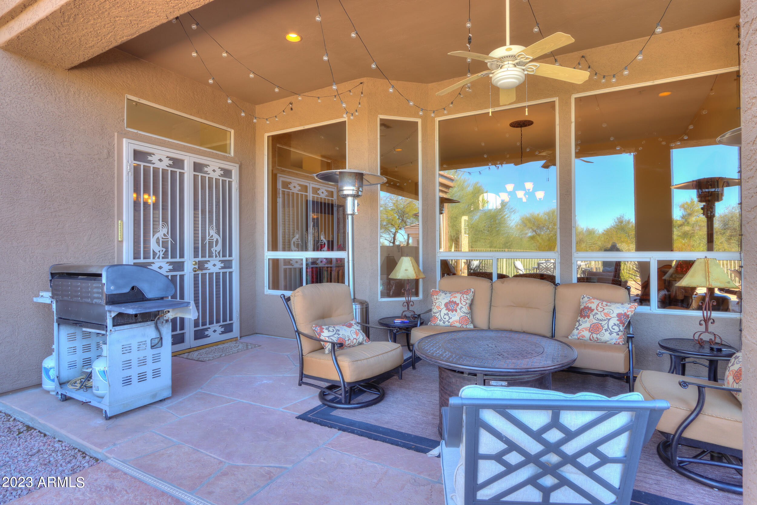 11396 E DIAMOND CHOLLA Drive