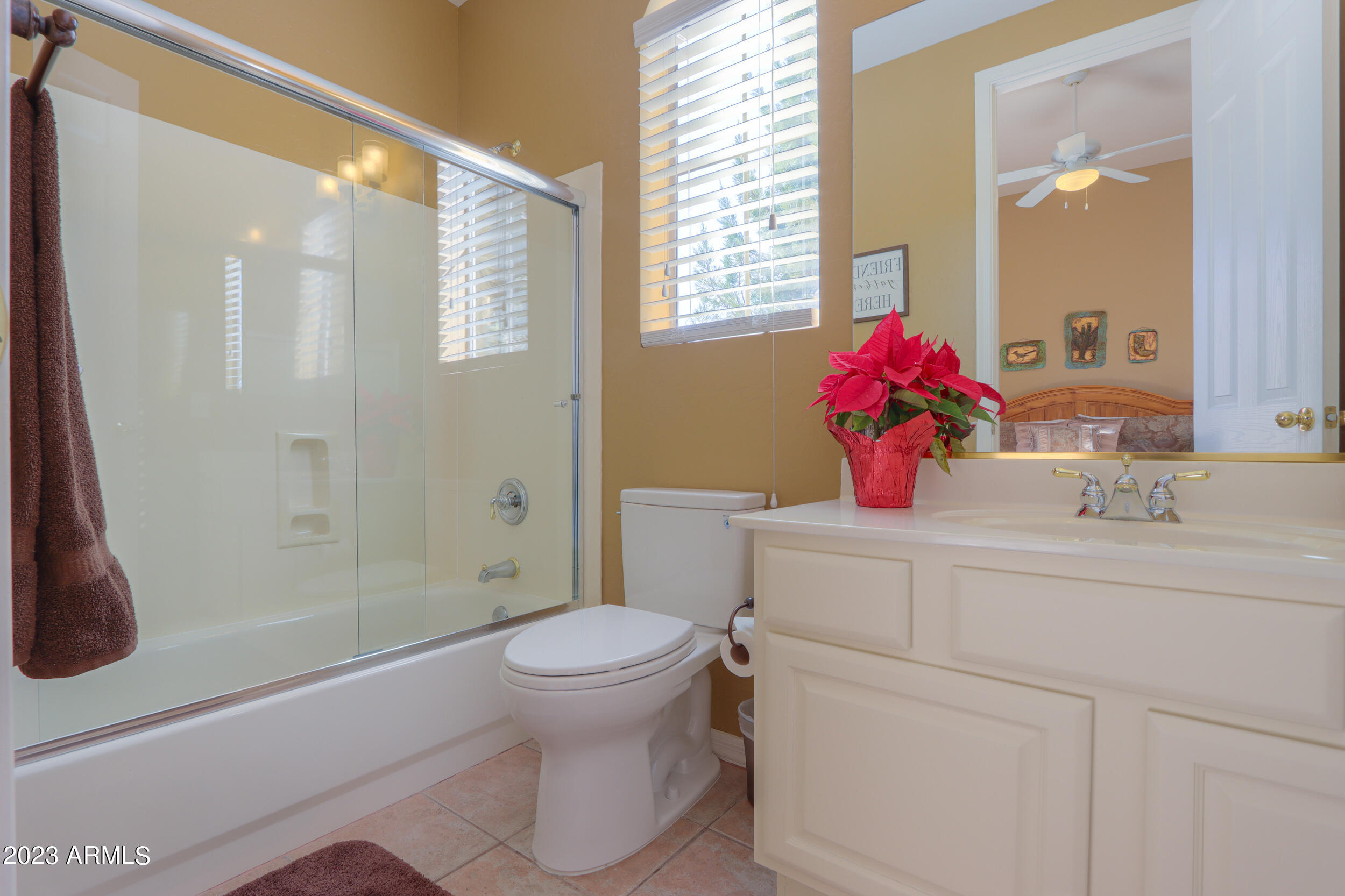 11396 E DIAMOND CHOLLA Drive