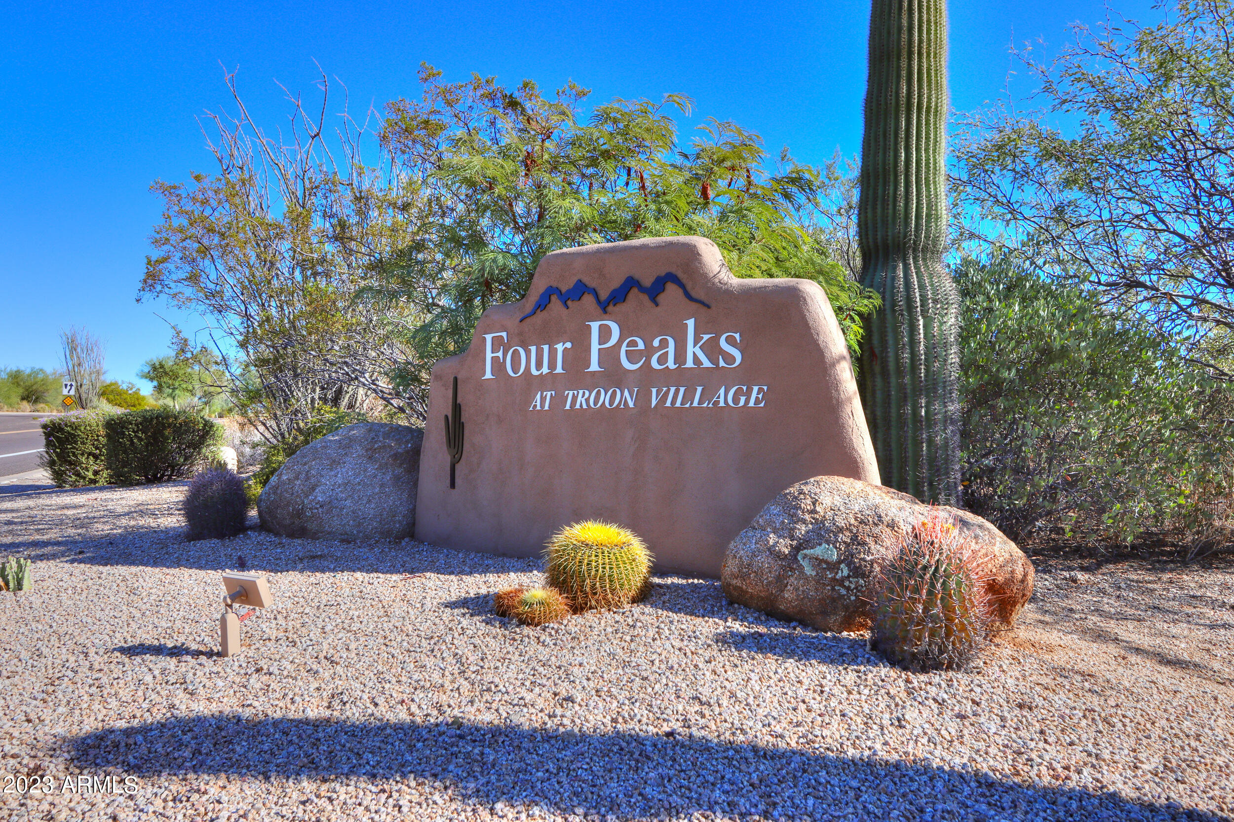 11396 E DIAMOND CHOLLA Drive