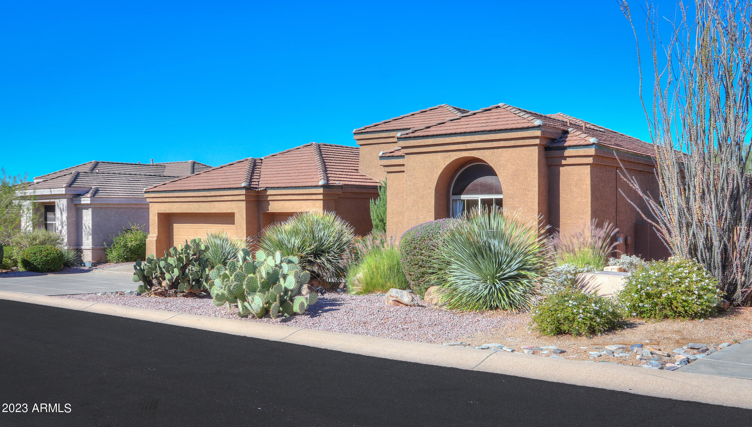 11396 E DIAMOND CHOLLA Drive