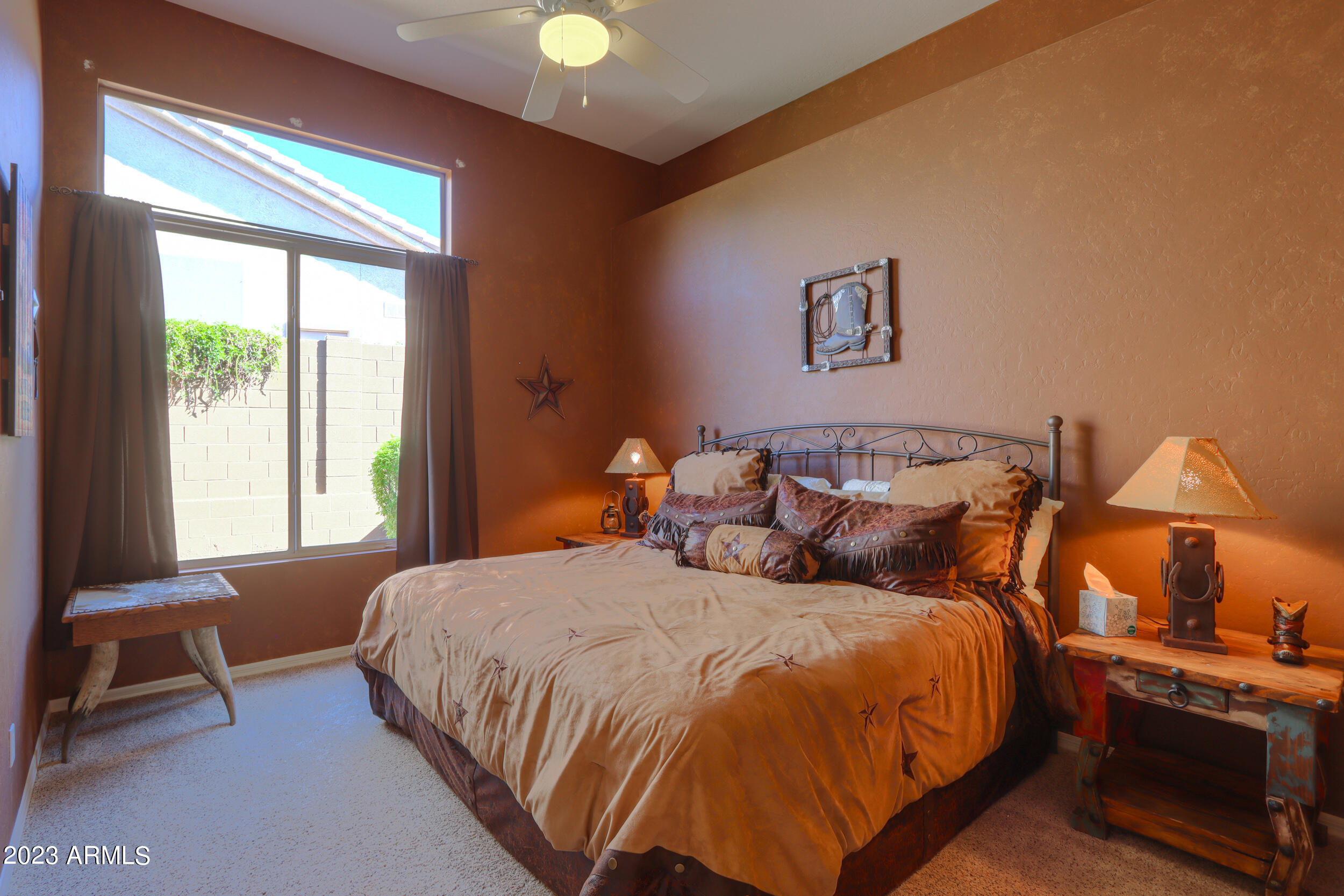 11396 E DIAMOND CHOLLA Drive