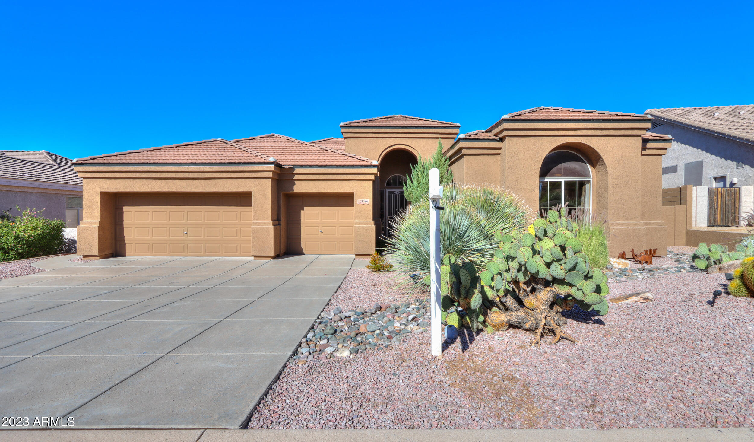 11396 E DIAMOND CHOLLA Drive