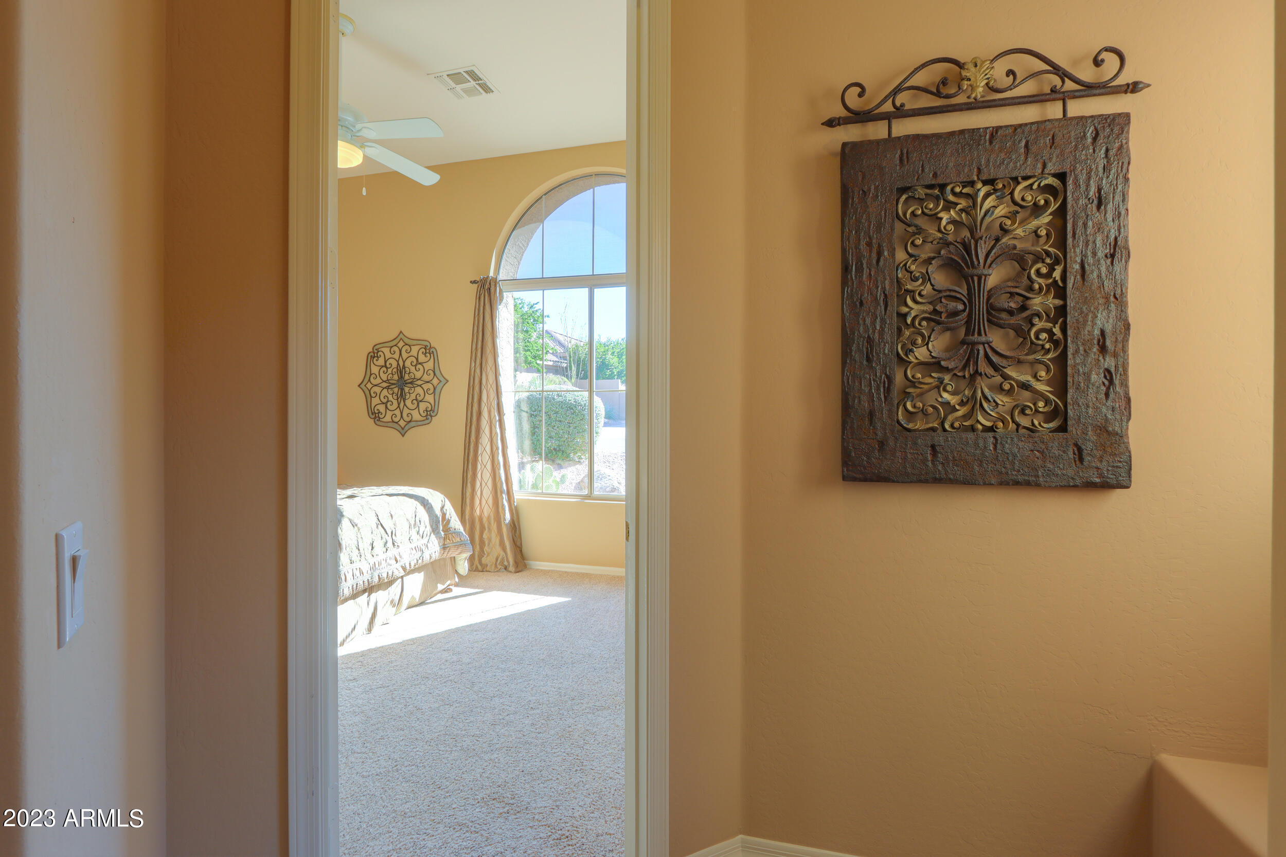 11396 E DIAMOND CHOLLA Drive