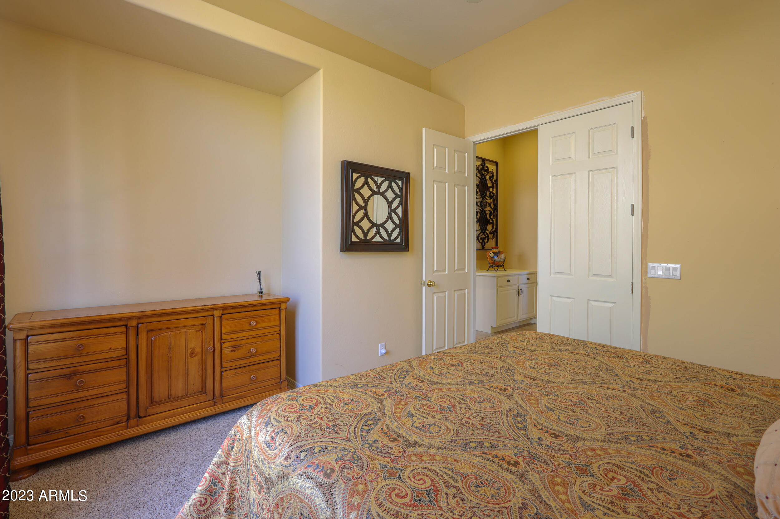 11396 E DIAMOND CHOLLA Drive