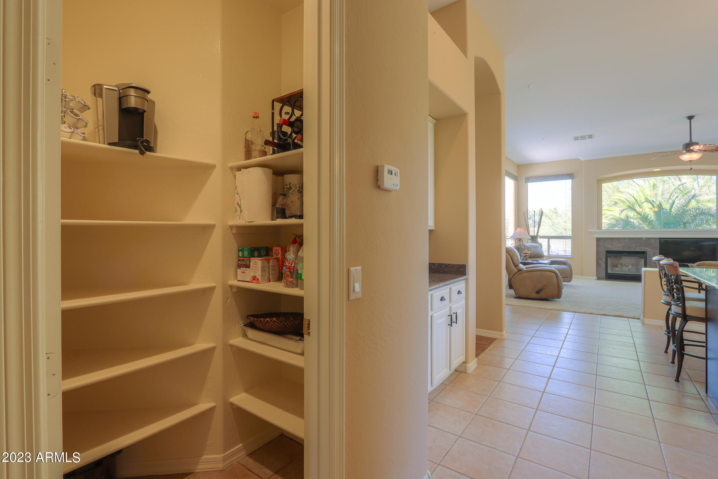 11396 E DIAMOND CHOLLA Drive