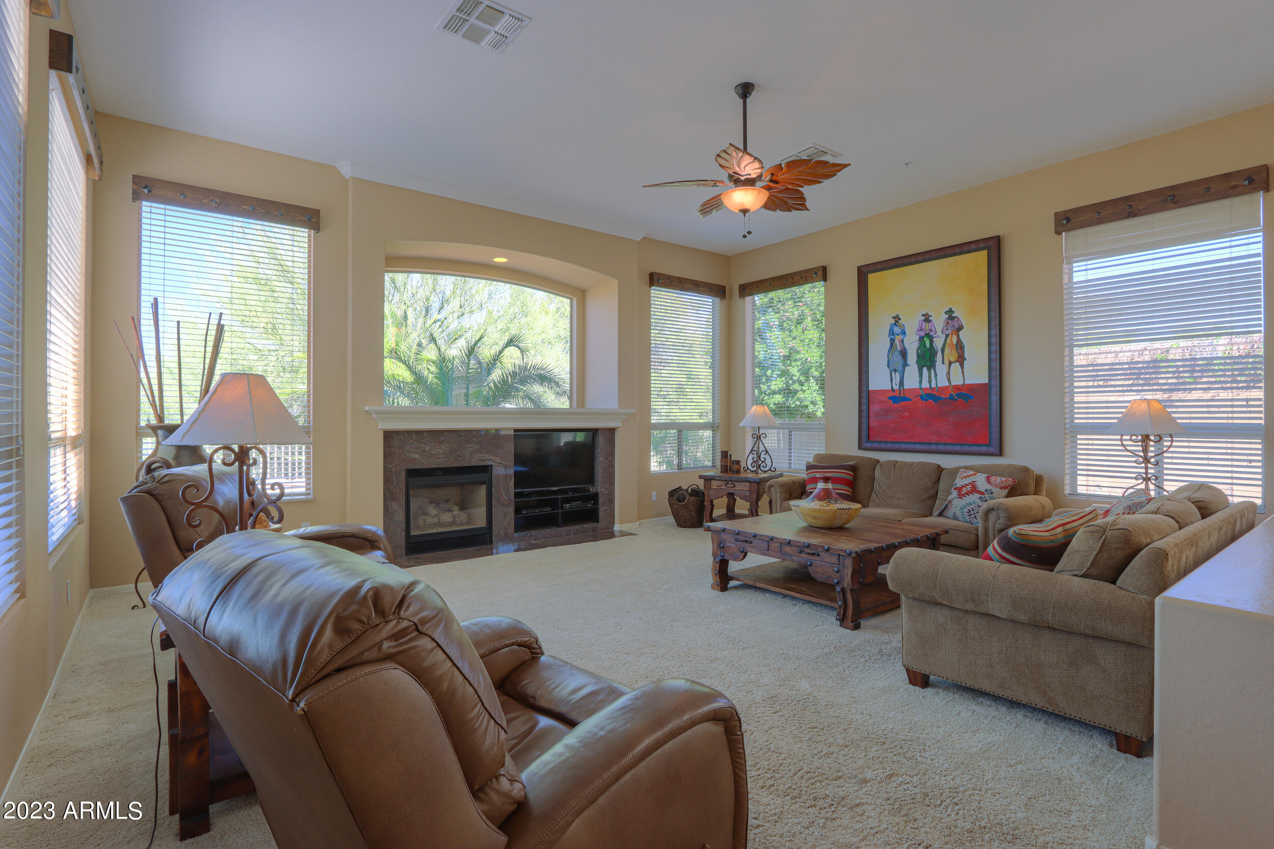 11396 E DIAMOND CHOLLA Drive