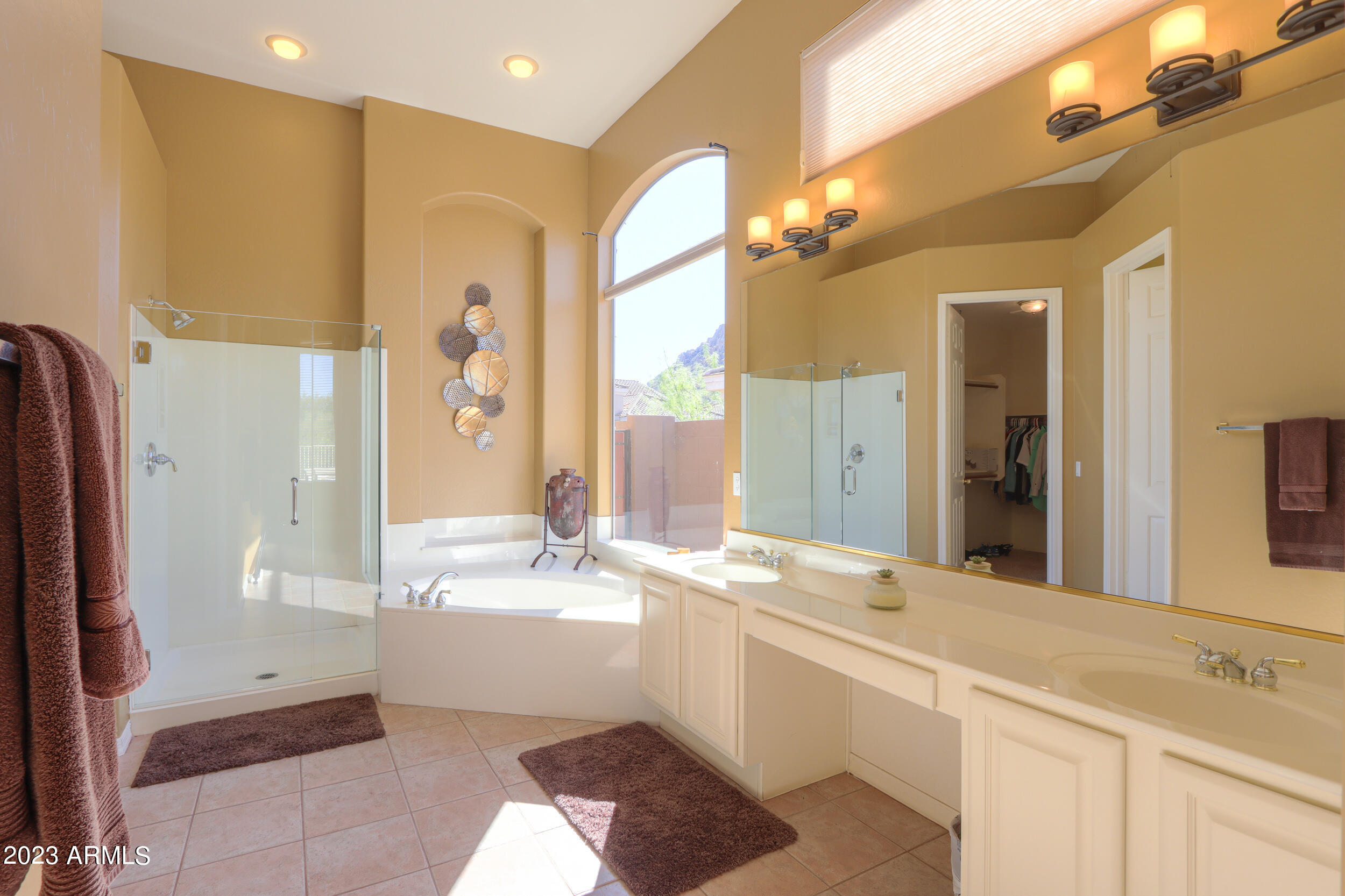 11396 E DIAMOND CHOLLA Drive