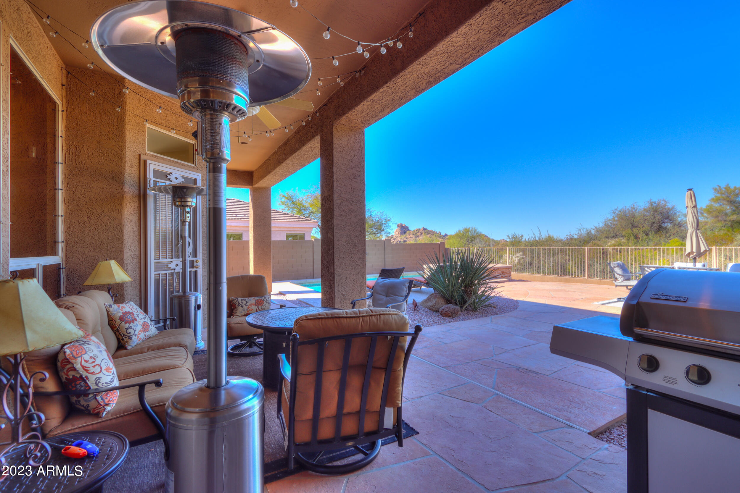 11396 E DIAMOND CHOLLA Drive