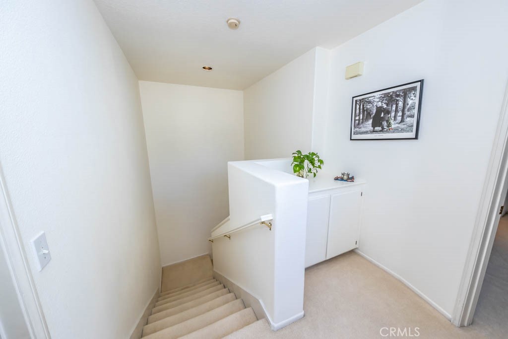 115 Fleurance Street