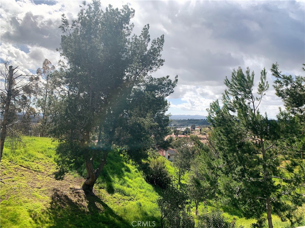 14001 Saddle Ridge Road