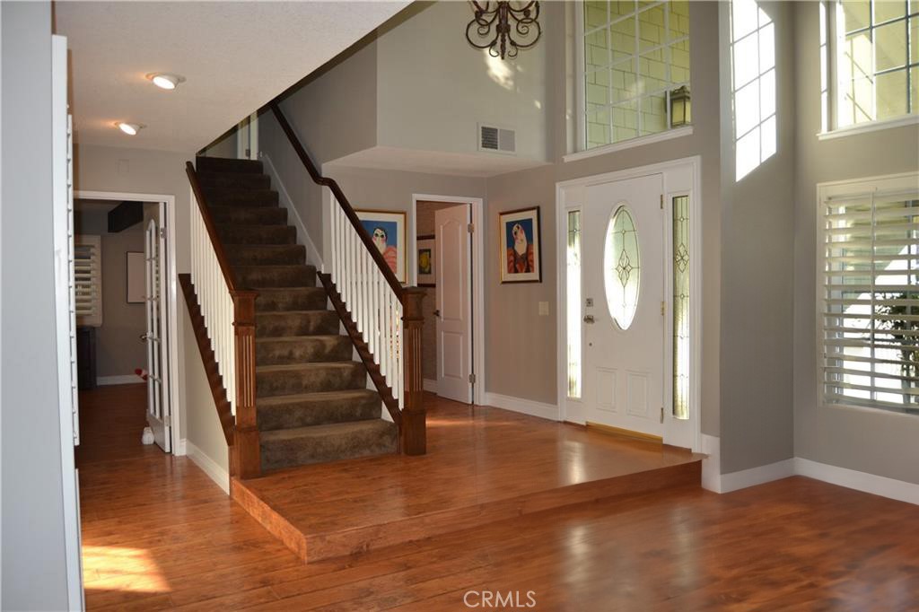 24331 Peacock Street