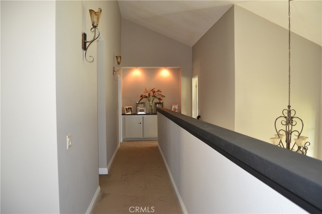 24331 Peacock Street