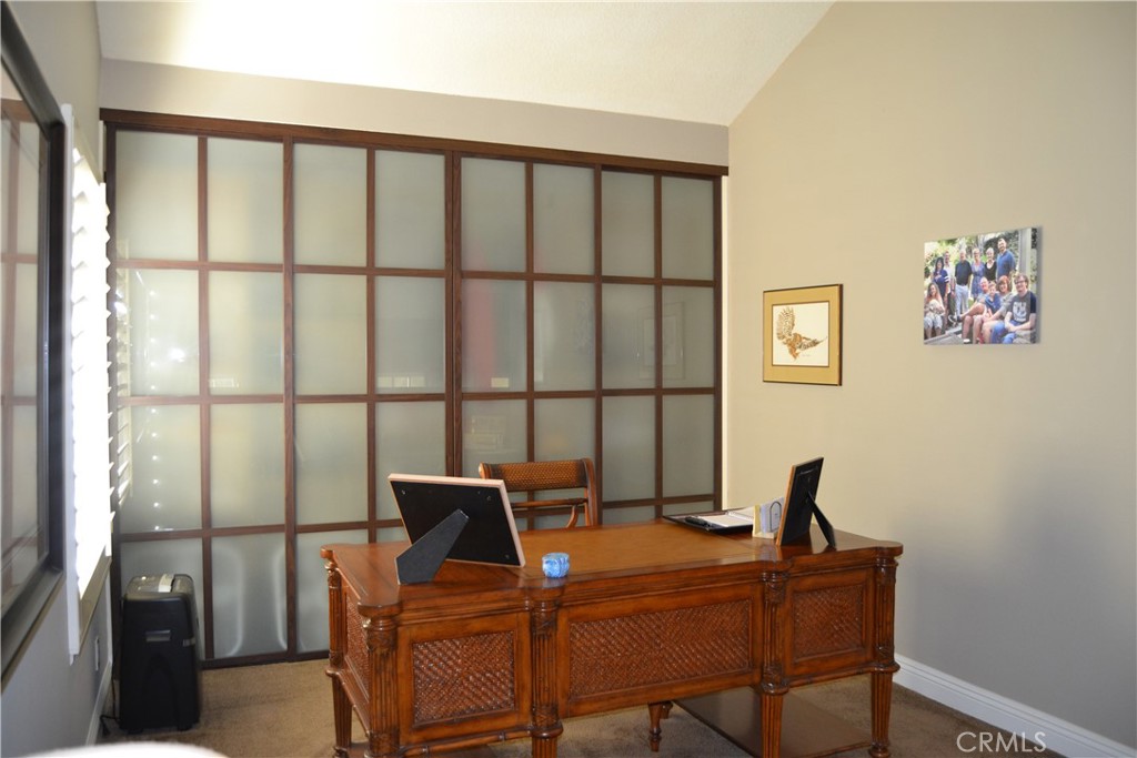 24331 Peacock Street