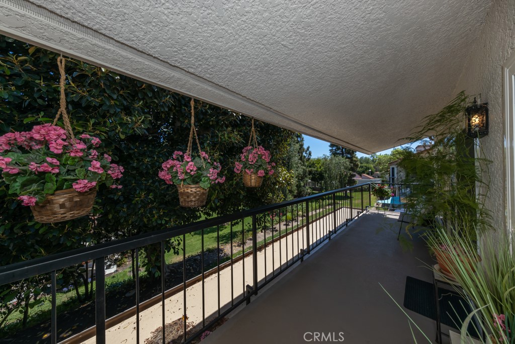 3382 Punta Alta P