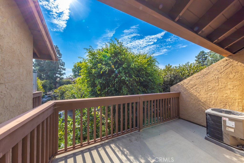 65 Orange Blossom 80