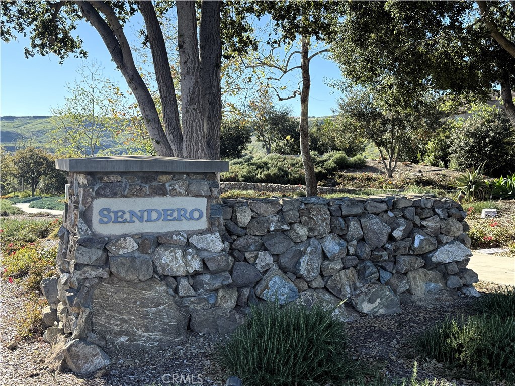 30 Vivido Street