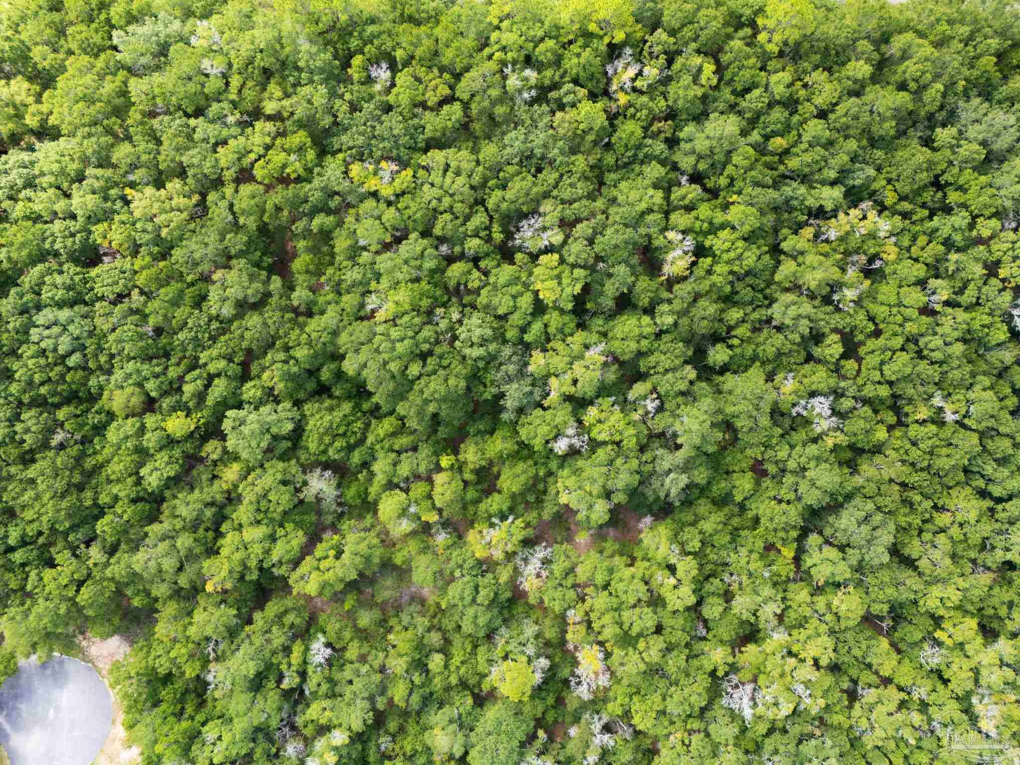 Lot 27 Waylon Dr