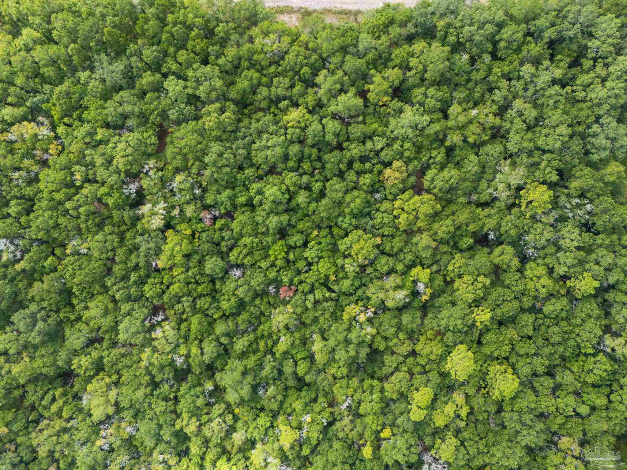 Lot 27 Waylon Dr