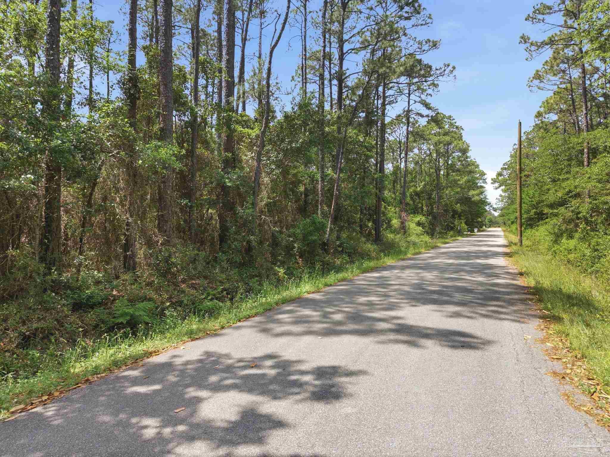 Lot 13 Dickerson Ave