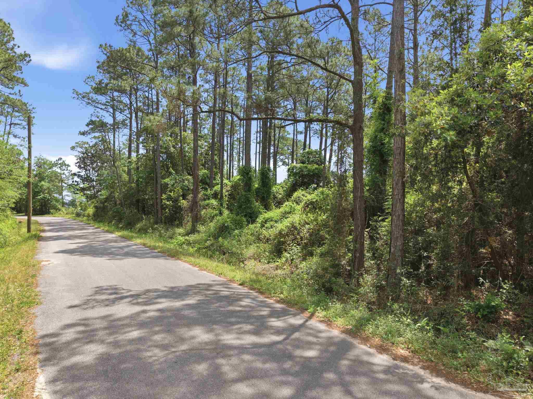 Lot 13 Dickerson Ave