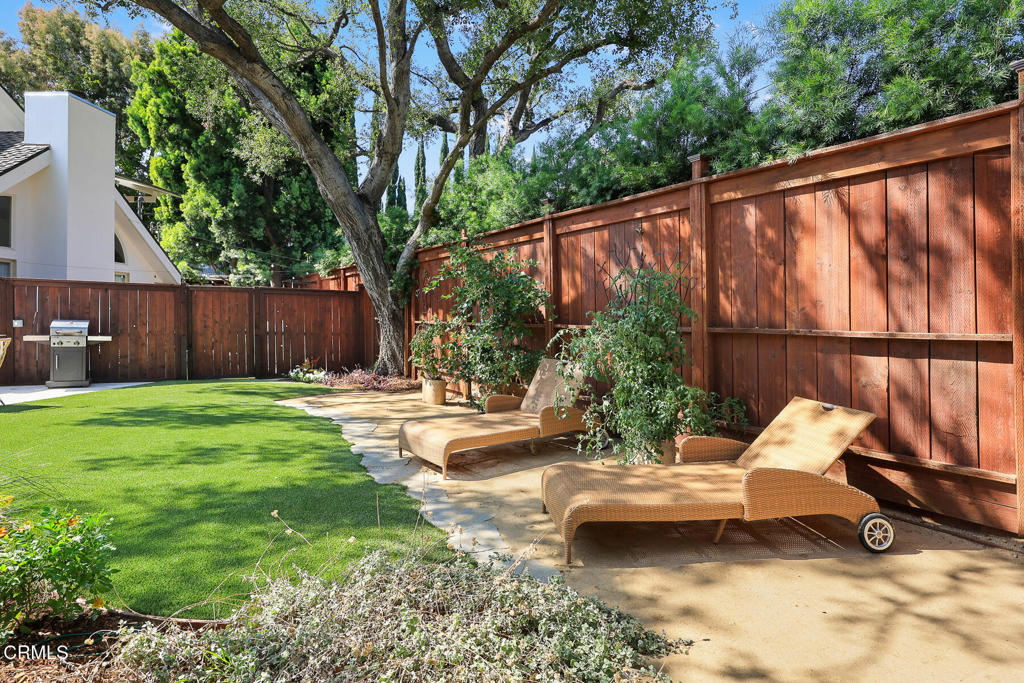 Backyard with a mature shade tree, lawn, wooden fence, stone patio, and two chaise lounges.