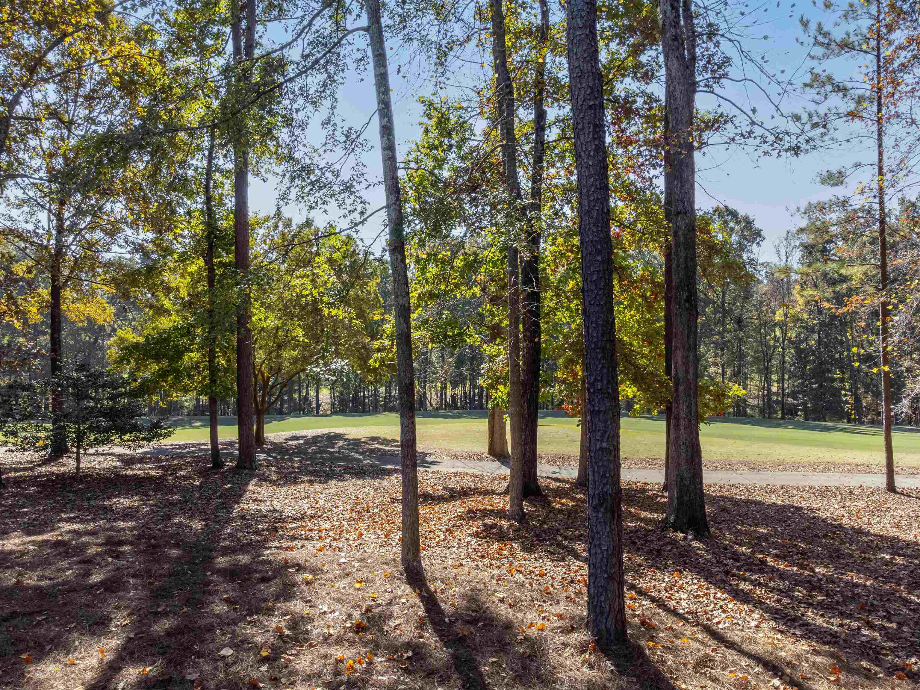1341 JACKSON RIDGE ROAD