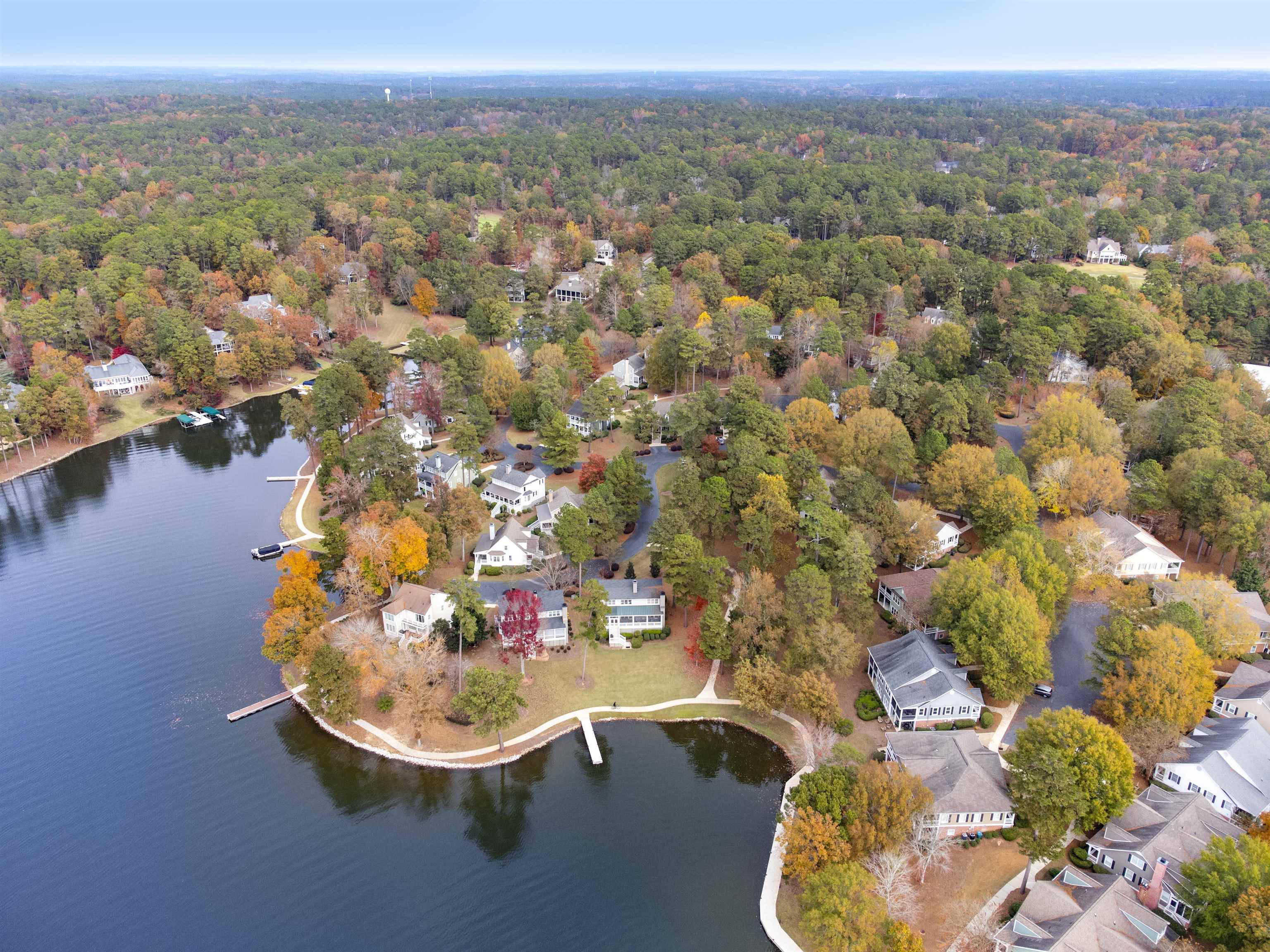 1090 VILLAGE LOOP