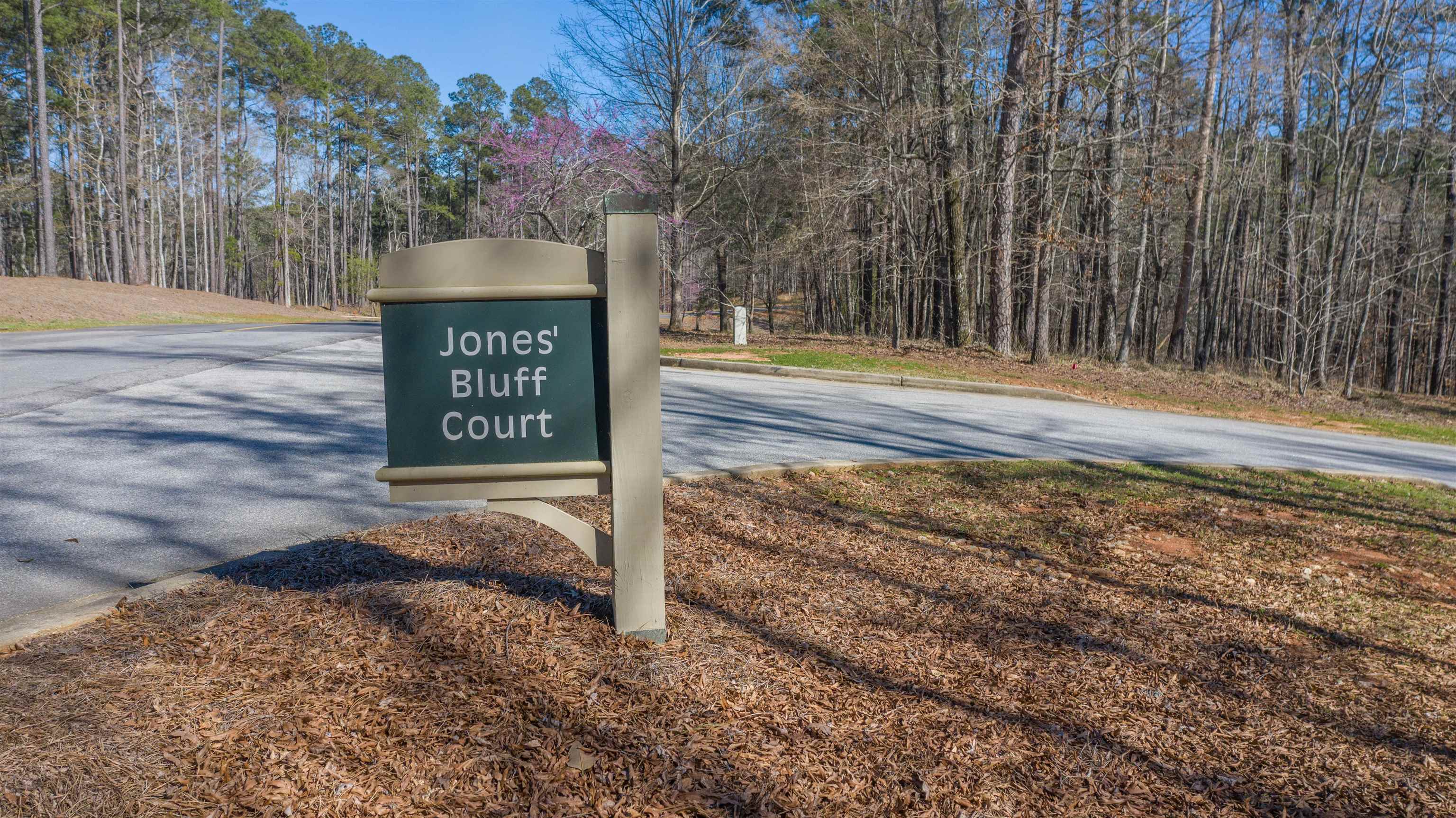 1051 JONES BLUFF COURT
