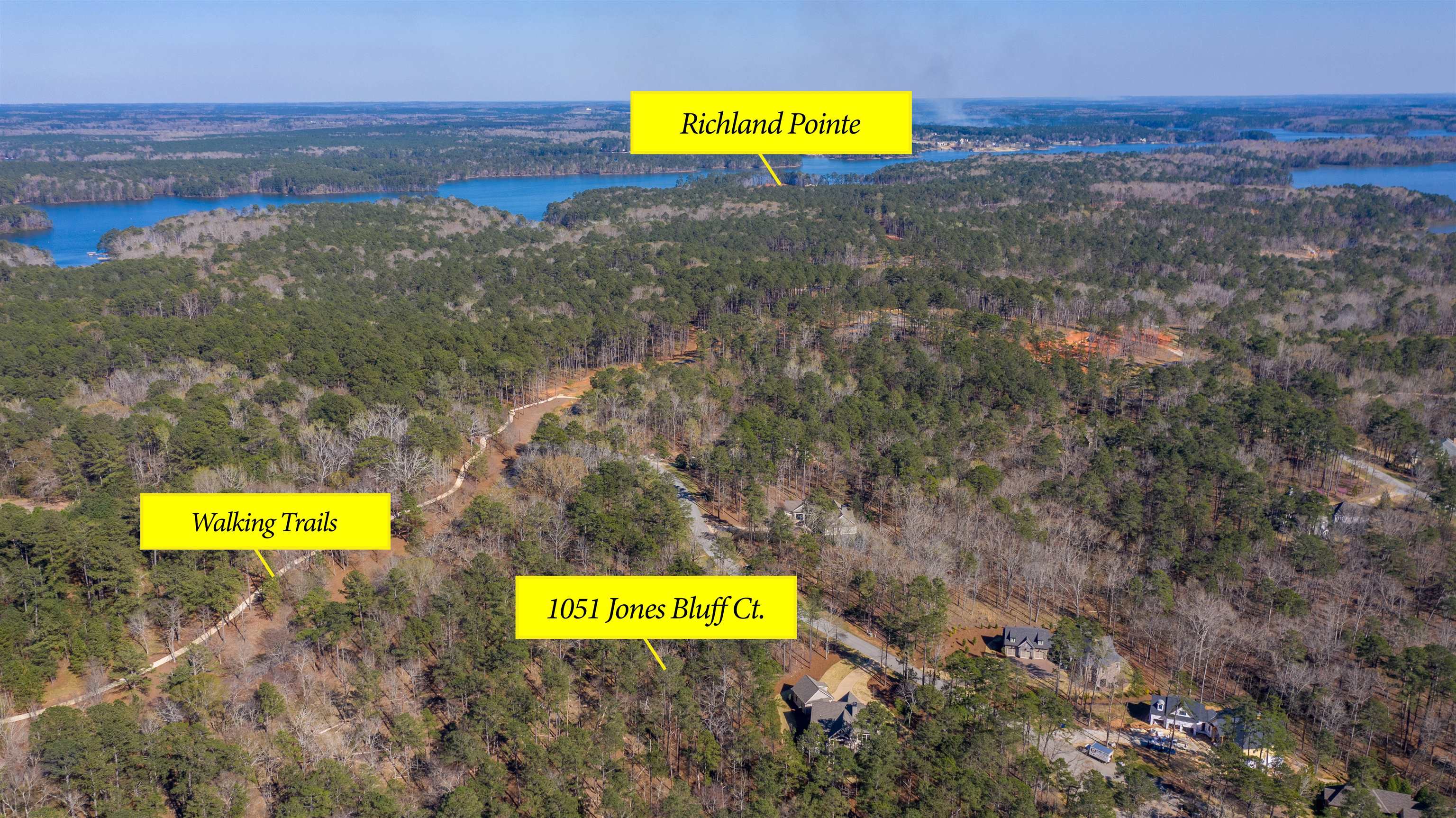 1051 JONES BLUFF COURT
