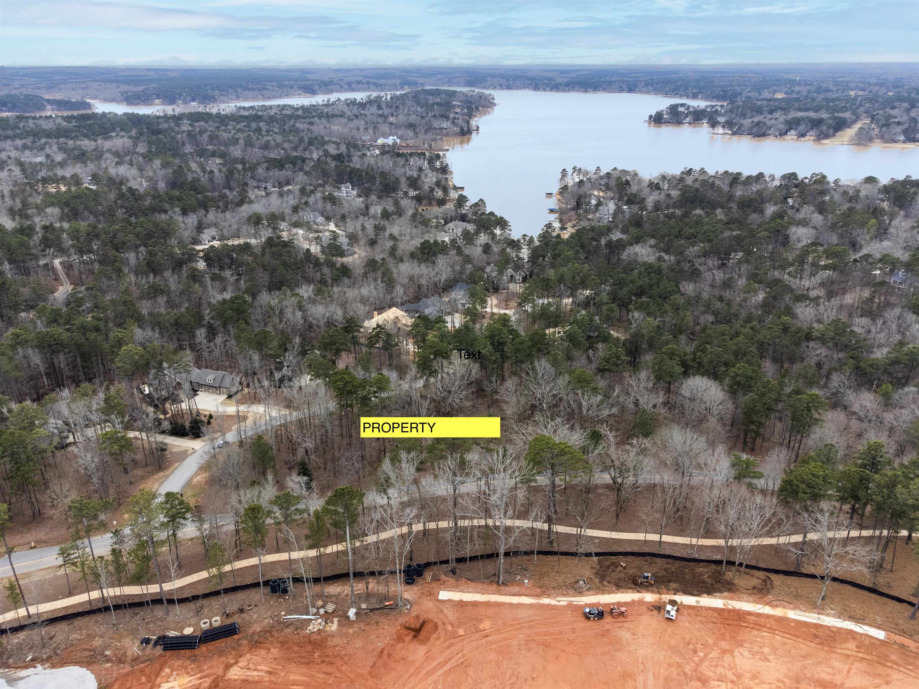 1051 JONES BLUFF COURT