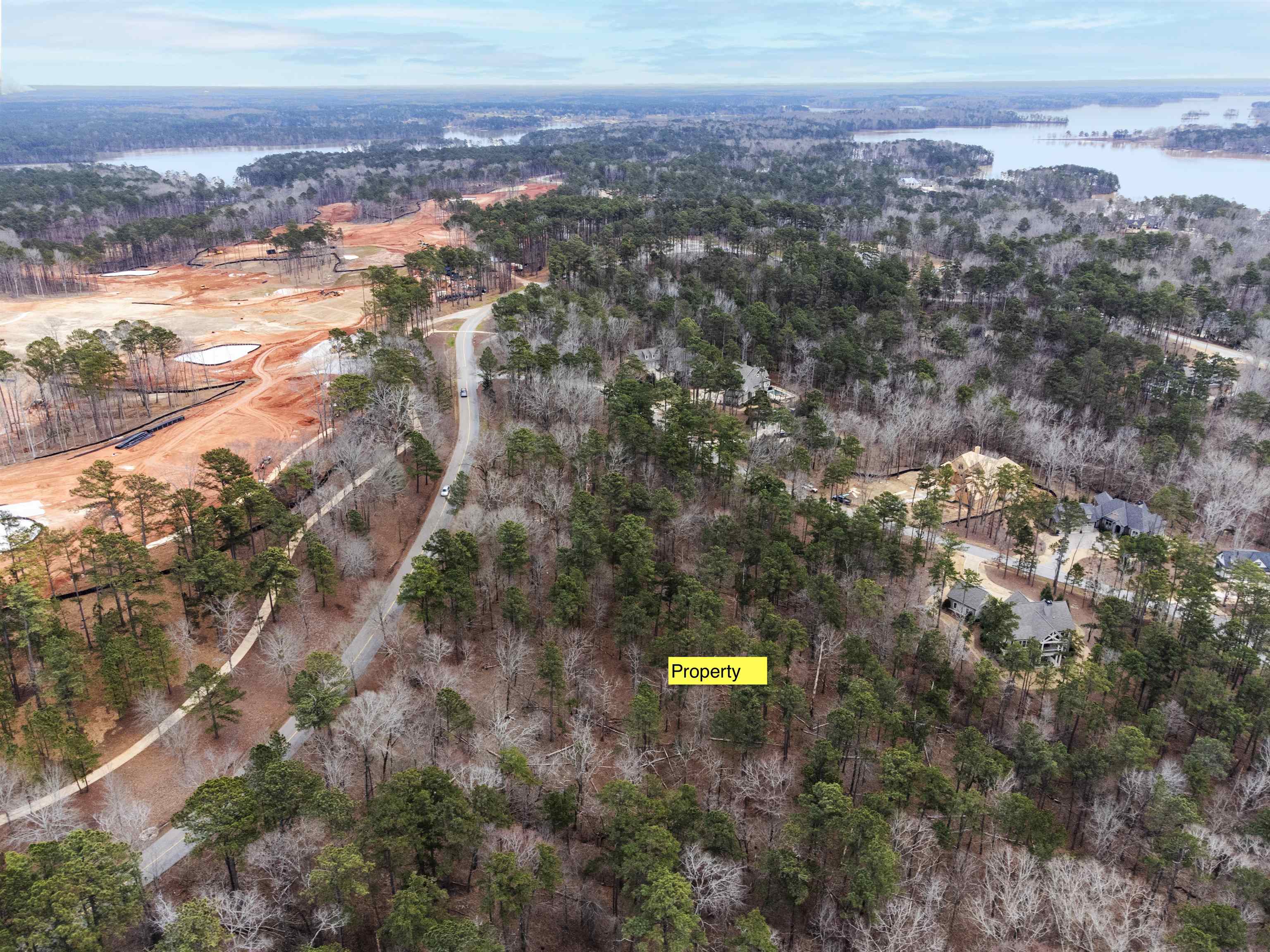 1051 JONES BLUFF COURT