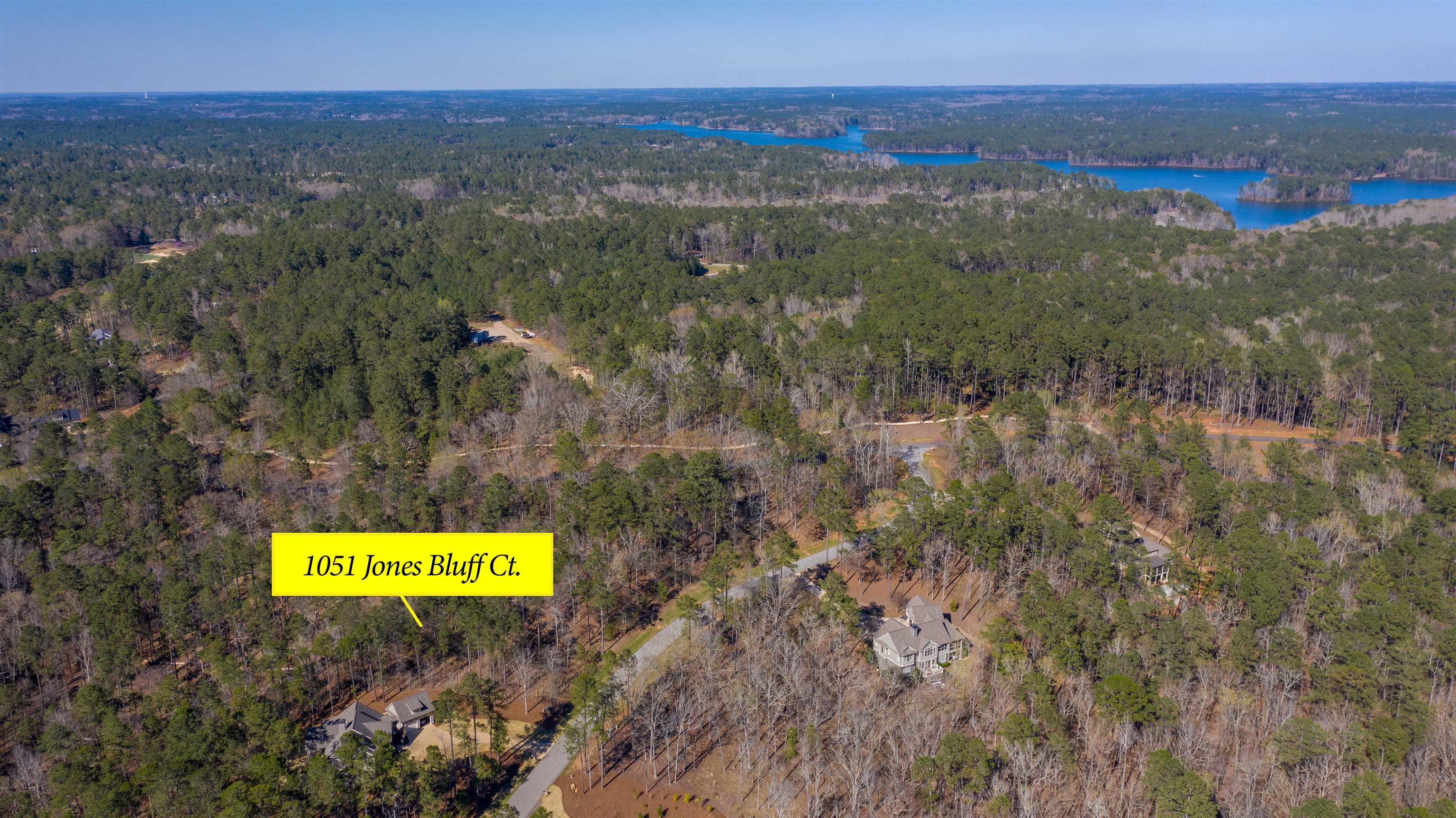 1051 JONES BLUFF COURT