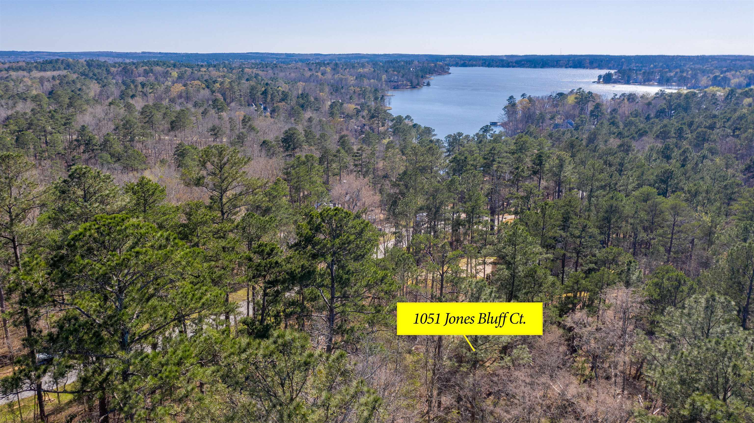 1051 JONES BLUFF COURT