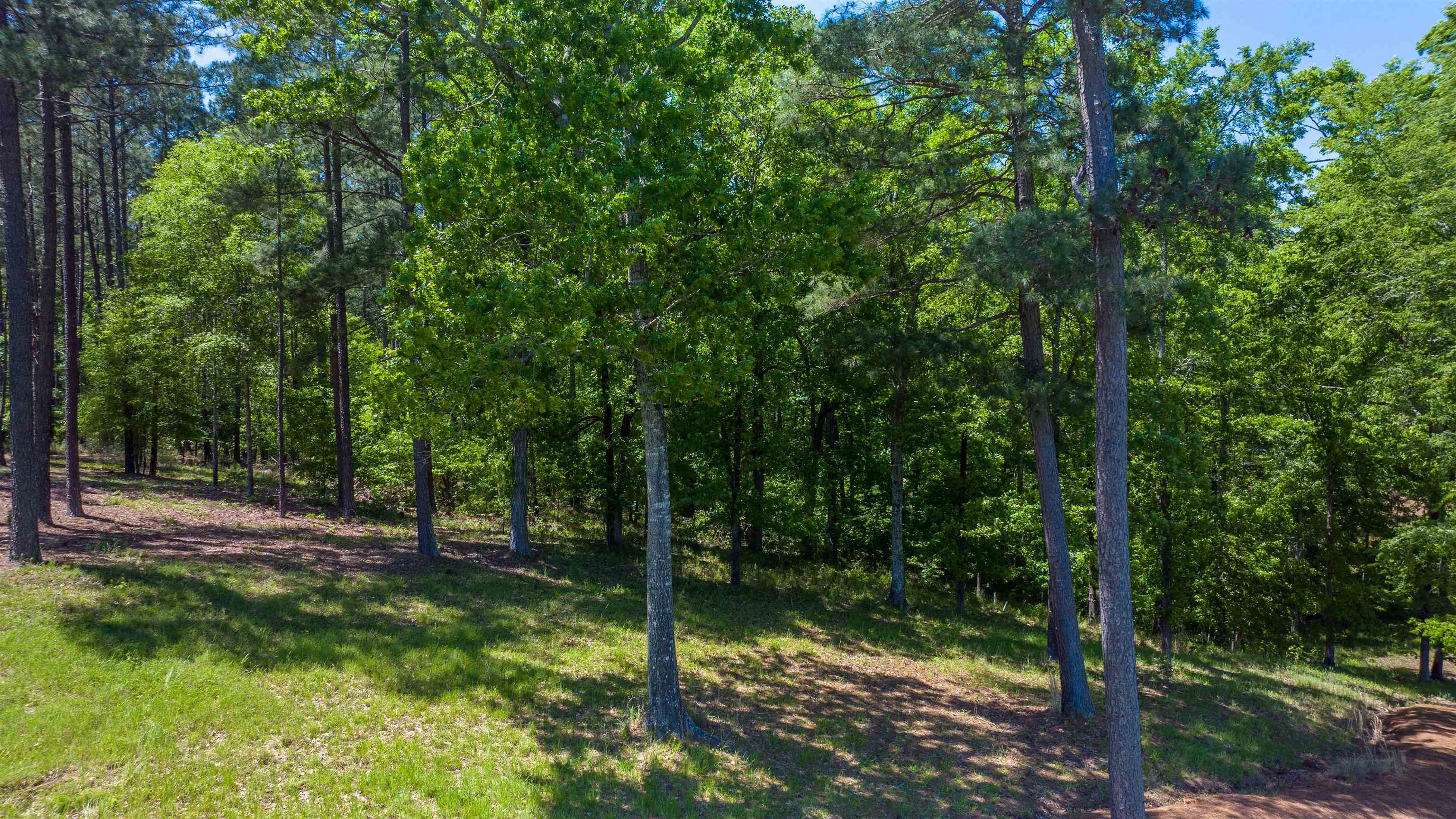 1051 OLIVERS CREEK