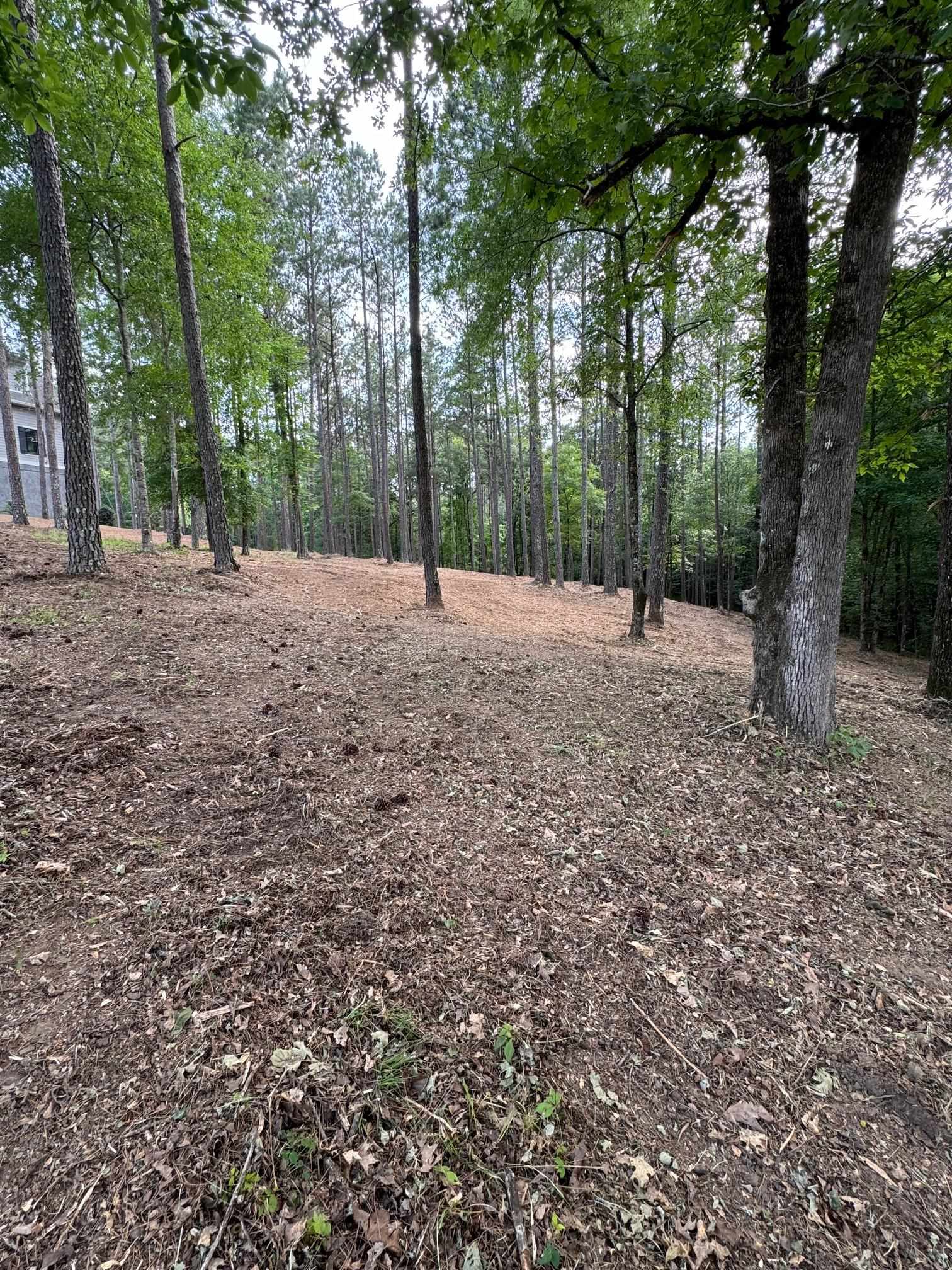 1051 OLIVERS CREEK