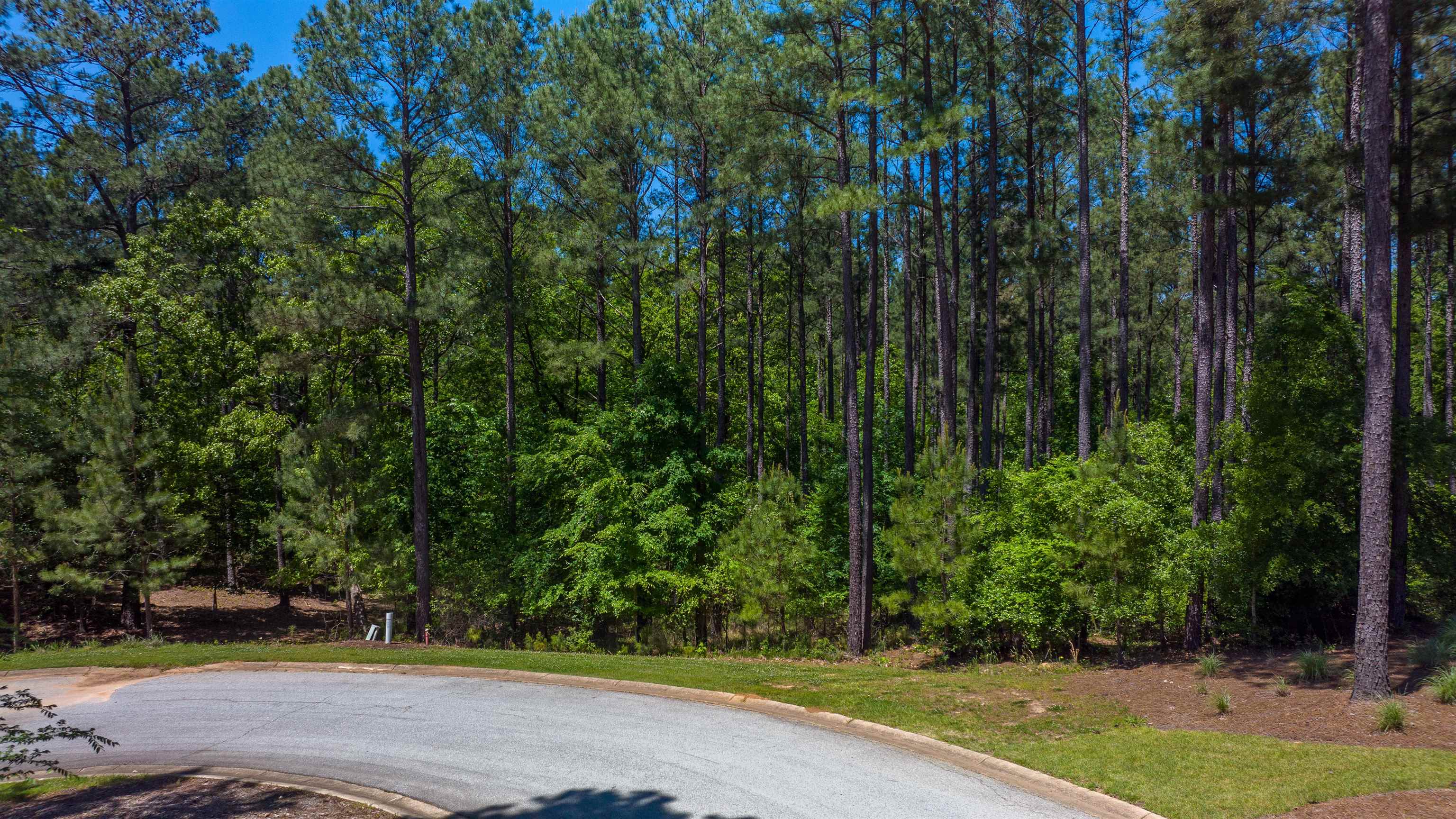 1051 OLIVERS CREEK