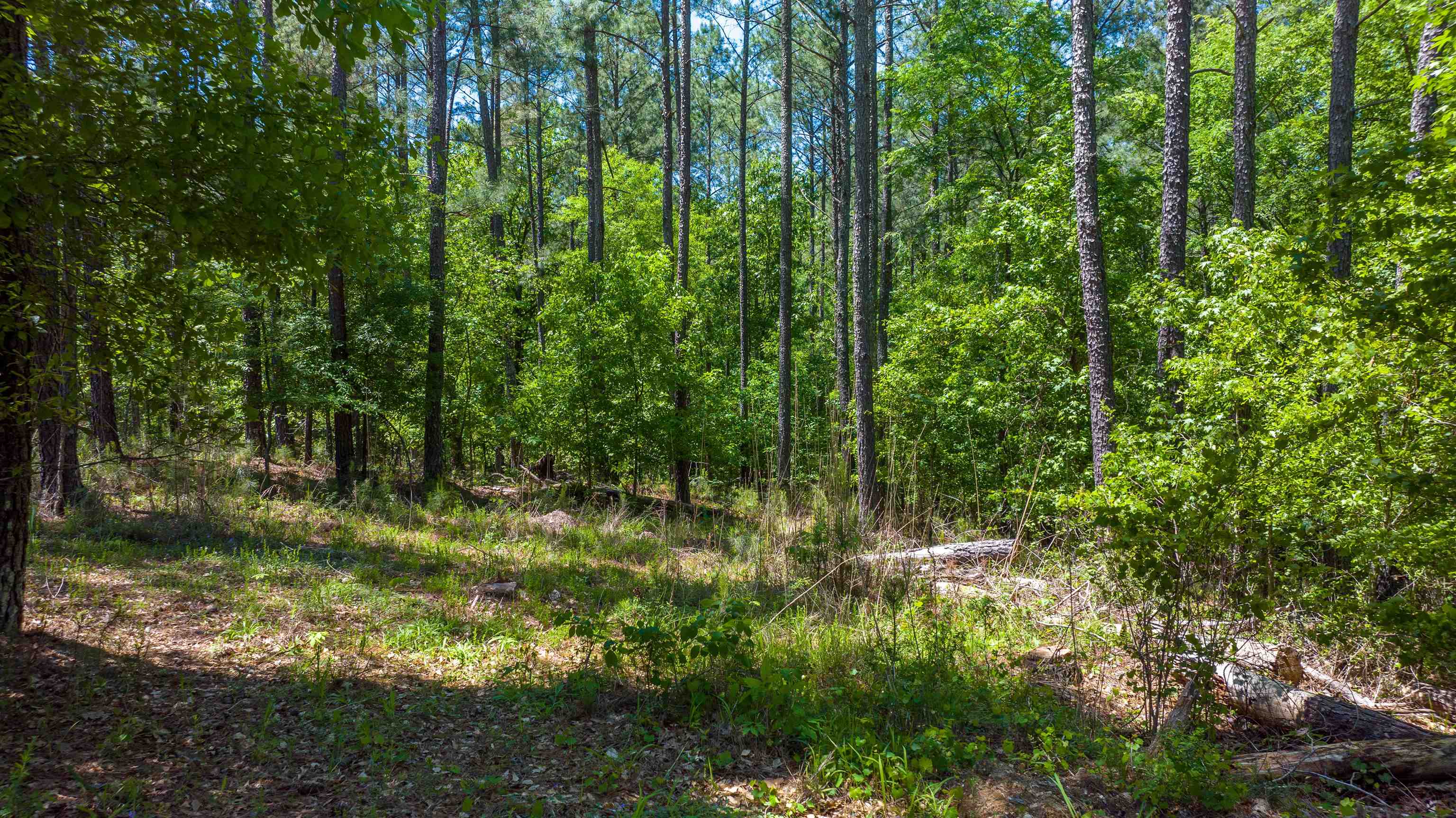 1051 OLIVERS CREEK