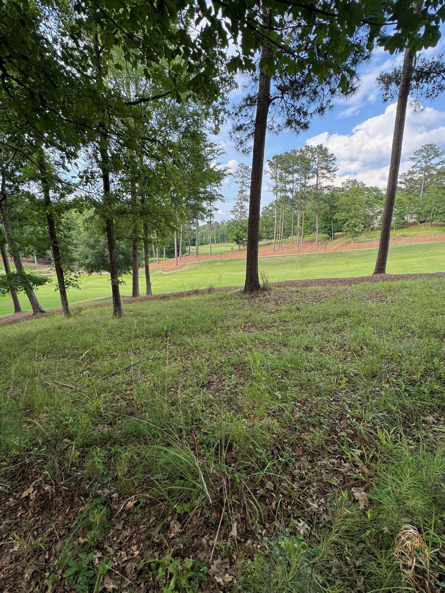 1051 OLIVERS CREEK