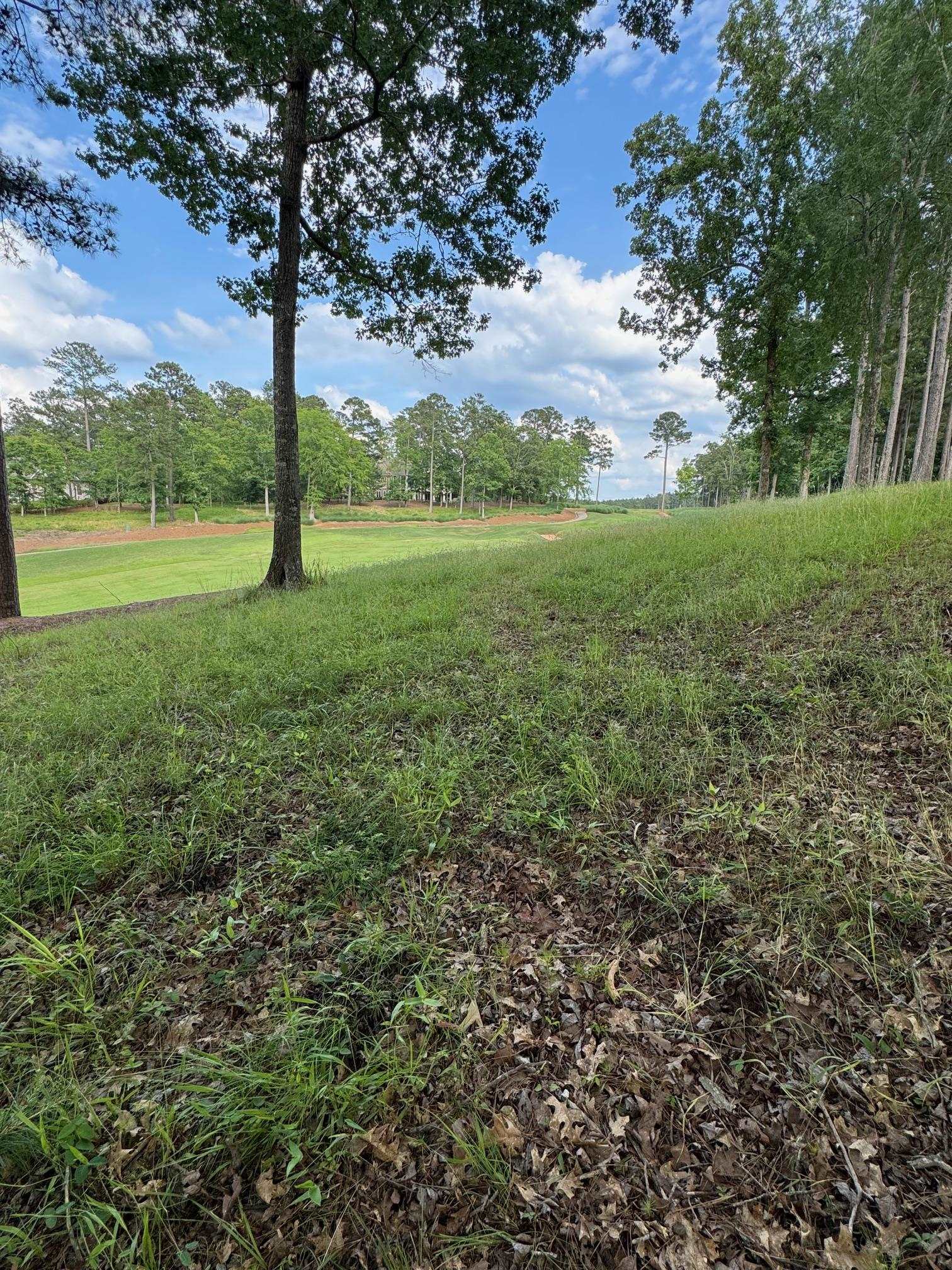 1051 OLIVERS CREEK